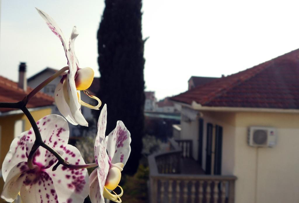 Ferienwohnung Luciana Zadar Exterior foto