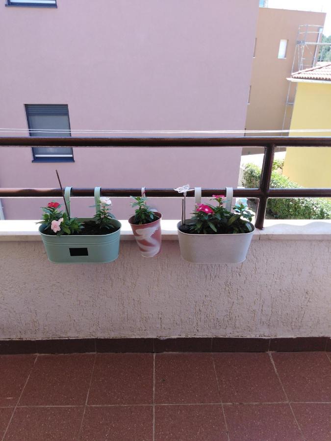 Ferienwohnung Luciana Zadar Exterior foto